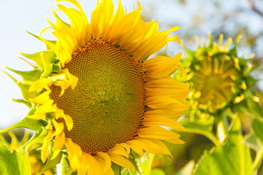 Similar image 10852247