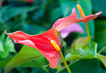 Similar image 10852258