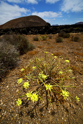 Similar image 10852299