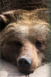 Similar image 10852374