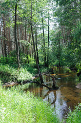 Similar image 10852382