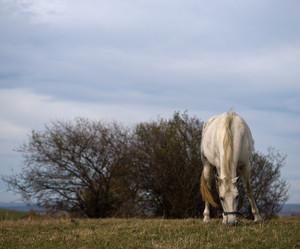 Similar image 10852383