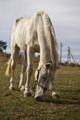 Similar image 10852384