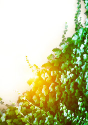 Similar image 10857683