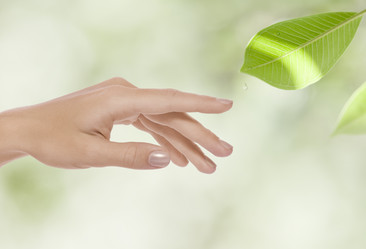 Similar image 10853739