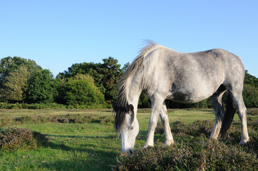 Similar image 10860941