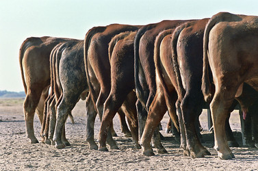 Similar image 10860945