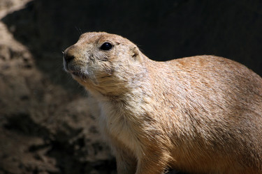 Similar image 10861002