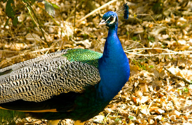 Similar image 10861004