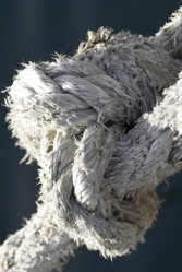 Similar image 10861005