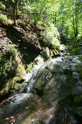 Similar image 10861007