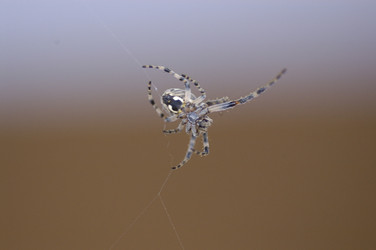 Similar image 10861030