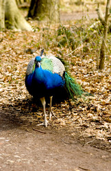 Similar image 10861012