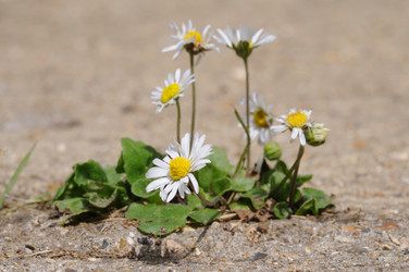 Similar image 10860950