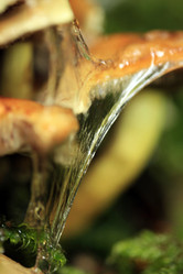 Similar image 10860954