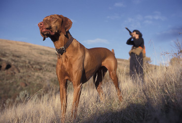 Similar image 10861019