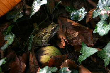 Similar image 10860994