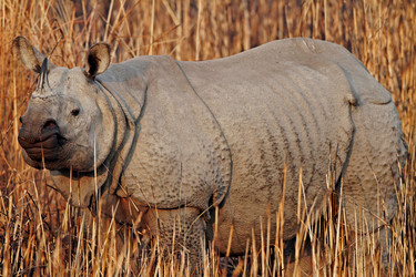 Similar image 10860996