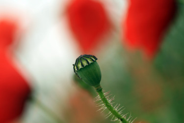 Similar image 10860999