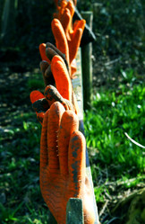 Similar image 10861000