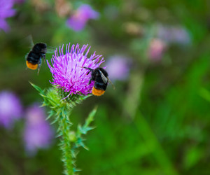 Similar image 10856028