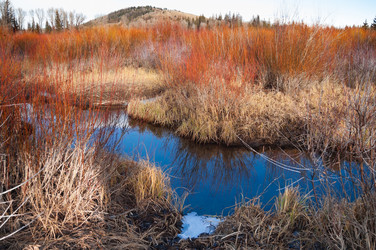 Similar image 10853769