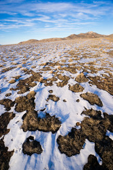 Similar image 10853777