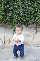 Similar image 10853486