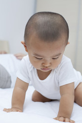 Similar image 10853526