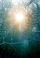 Similar image 10853461