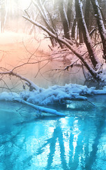 Similar image 10853492