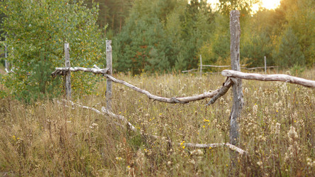 Similar image 10857140