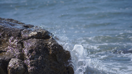 Similar image 10858864