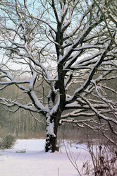 Similar image 10853443