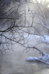 Similar image 10853474