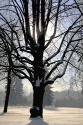 Similar image 10853475