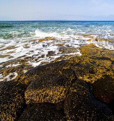 Similar image 10852731