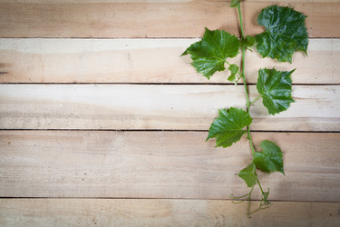 Similar image 10854646