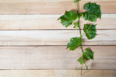 Similar image 10854665