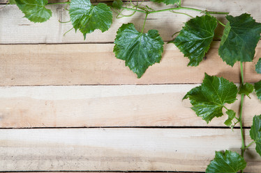 Similar image 10854684