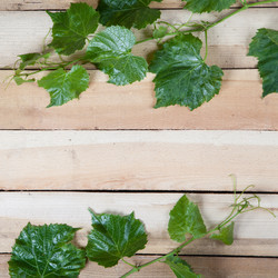 Similar image 10854685