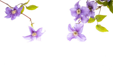 Similar image 10854686