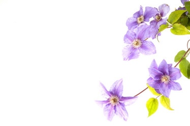 Similar image 10854724