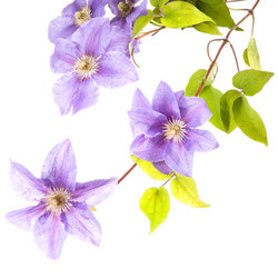 Similar image 10854725