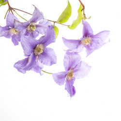 Similar image 10854726