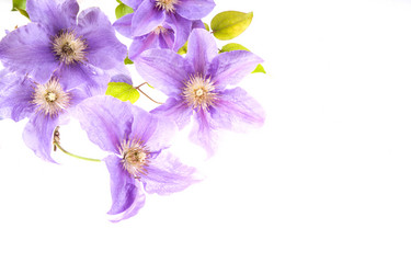 Similar image 10854727