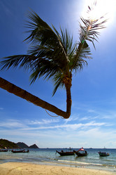 Similar image 10853503