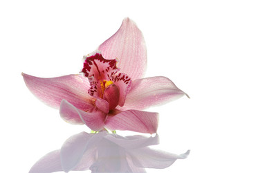 Similar image 10857635