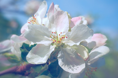 Similar image 10857639