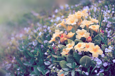 Similar image 10857661